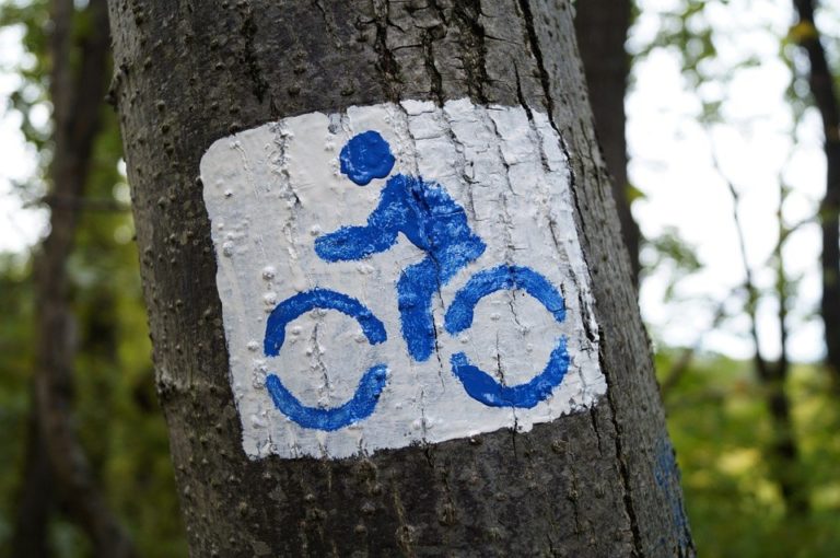 E-Bike & Fahrrad leihen für Radtour im Solling & Weserbergland